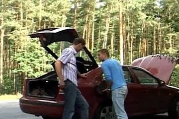 Геи №457
