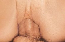 #19
