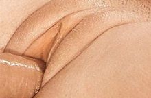 #28