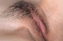 #7
