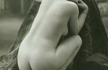 #513