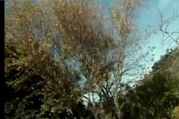 Две сладкие блондинки у бассейна