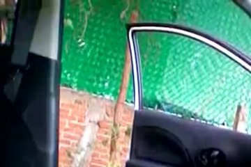 Парень снял свои развлечения