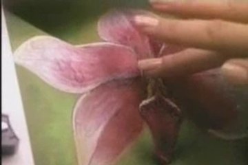 Художник рисует на бритой пилотке голой девушки цветок