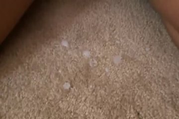 Дамочки любят сперму на своем лице