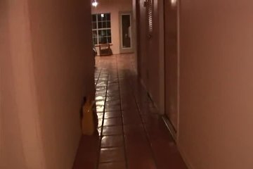 Пьяные сучки писают на улице