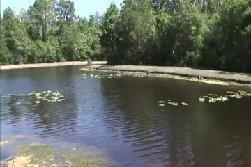 Блондинка на природе показывает свои сиськи