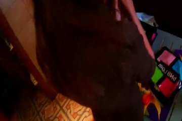 Грязная сучка сосет член в ванной и трахается раком на кровати