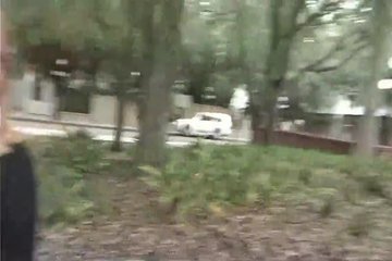 Развратная блондинка демонстрирует свои прелести на улице