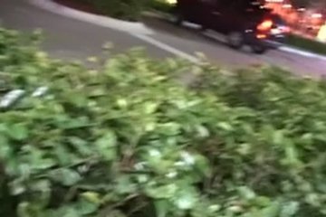 Сняли девушек у кафе и поехали развлекаться
