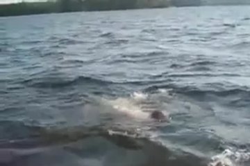 Брюнетка развлекается на яхте