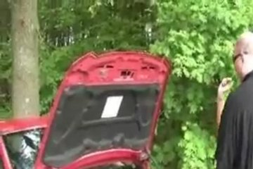 Брюнетка знает, как заманить парней