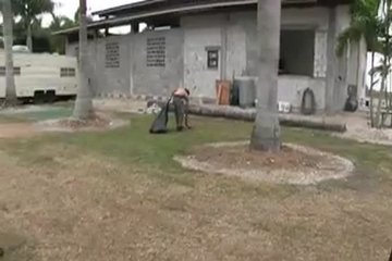 Милашки сосут и оголяют грудь публично